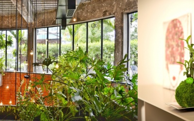 URBAN JUNGLE – SO HIP IST INDOOR GARDENING